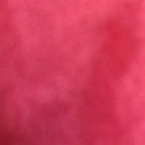 Meet your Posher, Kazushi